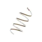 Ledvance LED Strip Value 1000 40W 4240lm 24v - 865 Daylight | 5M/8mm