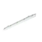 Philips LED Waterproof Batten Ledinaire WT065C 23/42W 2900/4800lm - 840 Cool White | 120cm - Through Wiring